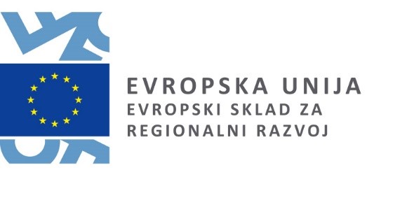 EU Logo